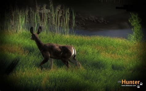 Thehunter Call Of The Wild Pc How To Equip Lures Gardengas