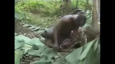 Hot Nasty Raw Hard African Jungle Fuckingandand