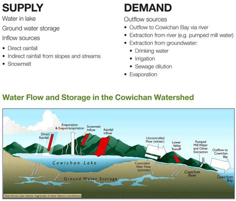 Weir Design – Cowichan River Water Supply