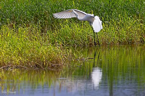 About The River Loxahatchee River District