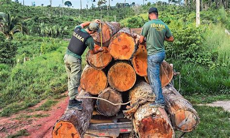 Ibama Tem Apenas Dos Analistas Necess Rios Para Fiscaliza O De