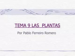 Ppt Tema La Reproducci N En Las Plantas Powerpoint Presentation