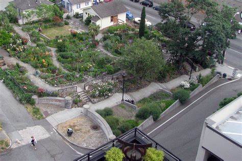 Buster Simpson - Growing Vine Street