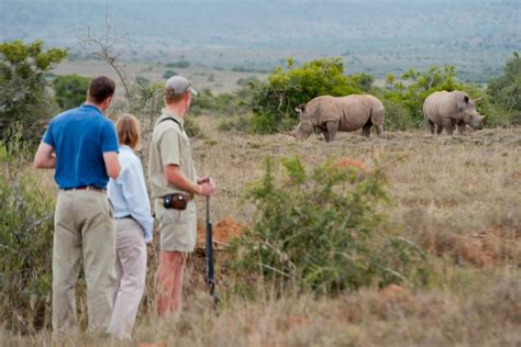 Best Places To See Rhino In Africa Aardvark Safaris