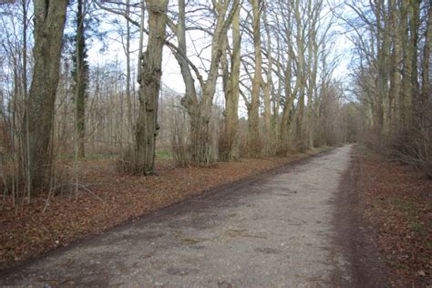 Twenty Acre Plantation Breckland NR16 2SE Area Information Map