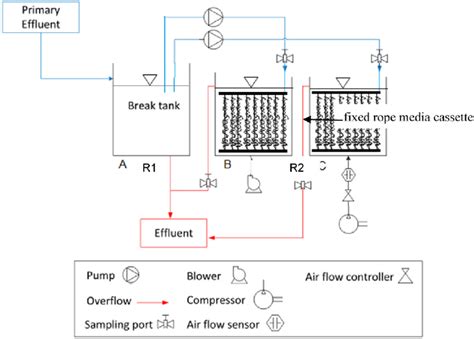 Schematic Of Reactor Operation Download Scientific Diagram