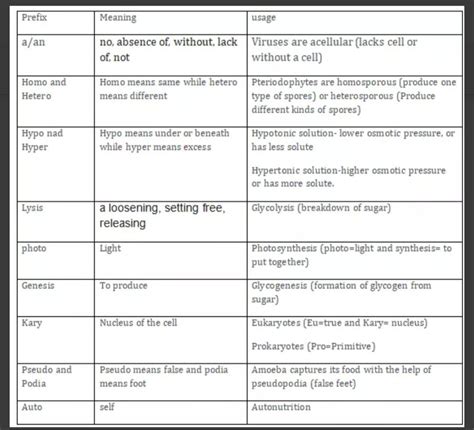 Prefixes Help Us To Understand Terminology Prefixes Biology