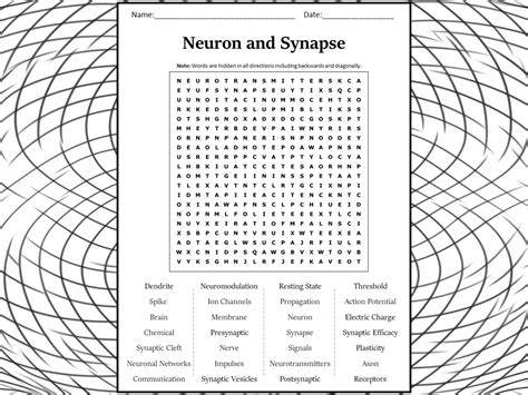 Neuron And Synapse Word Search Puzzle Worksheet Activity Teaching