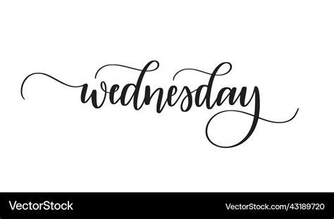 Wednesday Cute Modern Calligraphy Word Royalty Free Vector