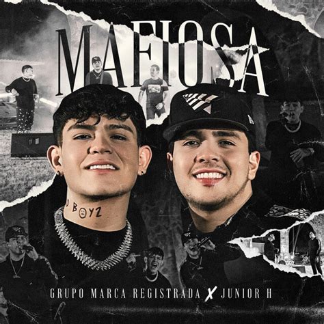 Grupo Marca Registrada Mafiosa Lyrics English Translation LyricsFA