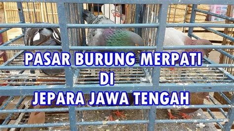 Pasar Burung Merpati Di Jepara Jawa Tengah YouTube