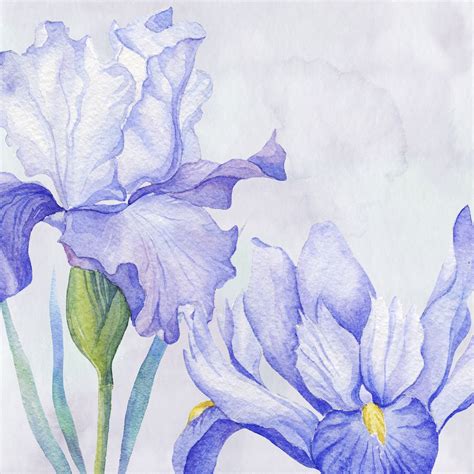 Iris Wall Murals High Quality Iris Wallpaper Watercolor Happywall