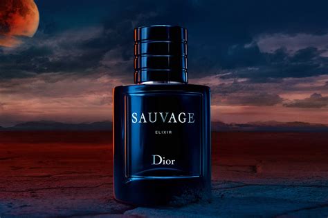 Top V I H N V Dior Sauvage C A Dior Hay Nh T Cdgdbentre Edu Vn