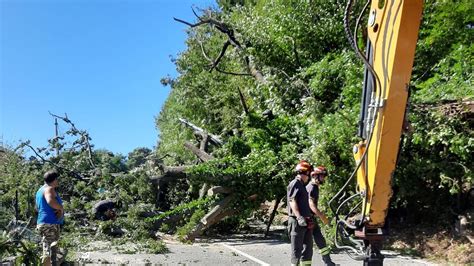 Vento Forte In Liguria Interventi Dei Vigili Del Fuoco Crolla Un