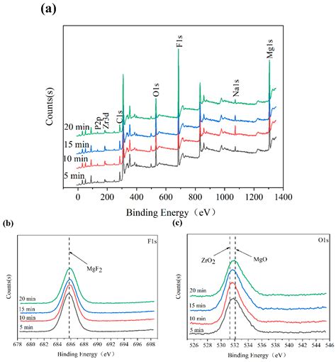 Coatings Free Full Text Effect Of Oxidation Time On The Structure