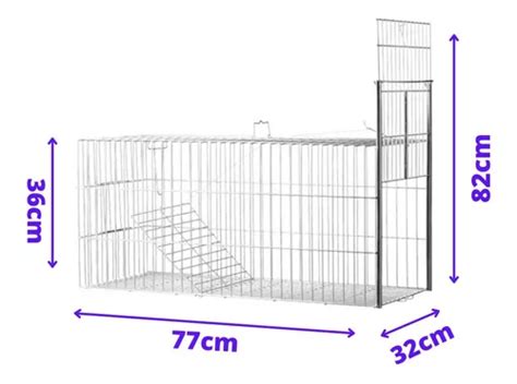 Gaiola Armadilha Grande Gatoeira Para Capturar Gatos Gambas à venda em