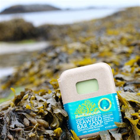 Seaweed Products