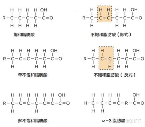 运动和脂肪代谢 知乎