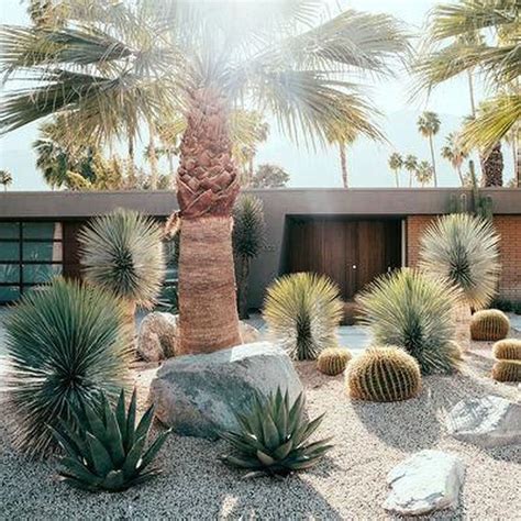 36 Beautiful Cactus Landscaping Ideas For Your Front Yards Decor