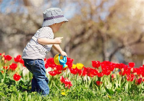 Se viene se viene Te contamos cuándo comienza la primavera en Chile