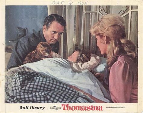 The Three Lives of Thomasina - movie POSTER (Style C) (11" x 14") (1964 ...