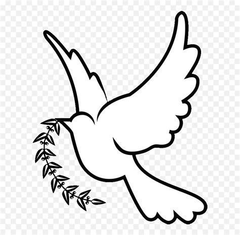 White Dove Drawing Dove Clipart Png Dove Png Free Transparent Png