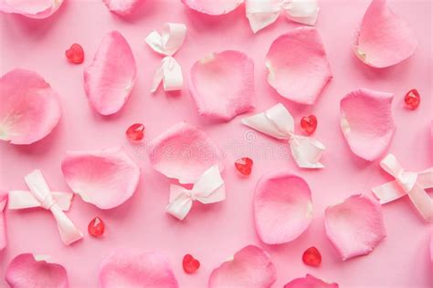 Pink Rose Petals On Pink Background Stock Image Image Of Group