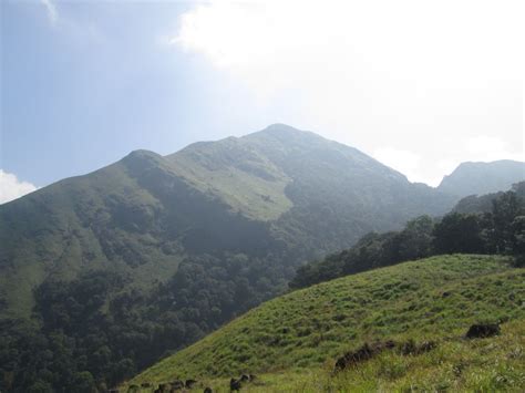 Trekking To Chembra Peakwayanad Tripoto