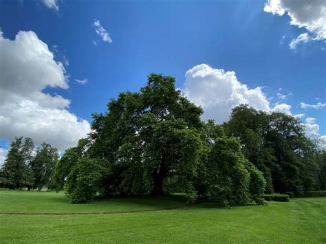 Ch Teaux En Seine Et Marne Seine Et Marne Vivre En Grand