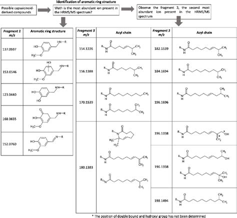 Proposed strategy for identification of novel capsaicinoid-derived ...