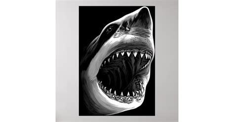 Great White Shark Poster | Zazzle