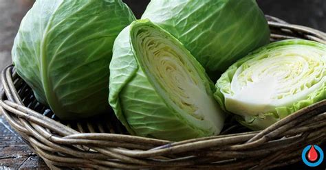 10 Impressive Health Benefits Of Cabbage Diabetes Health Page