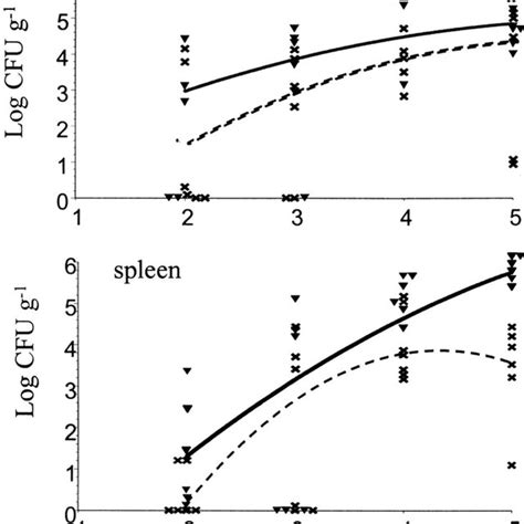 The Yopj Mutant Does Not Colonize Spleens As Well As Wild Type Y