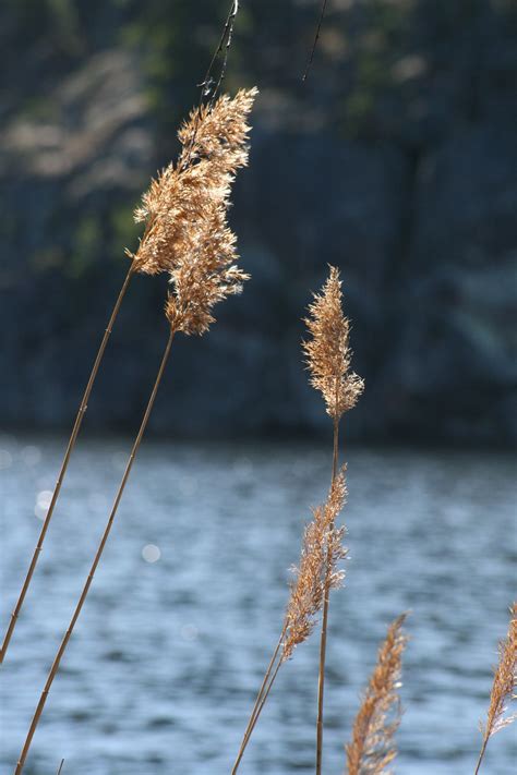 Nuuksio National Park, Espoo, Finland | National parks, Finland, Espoo