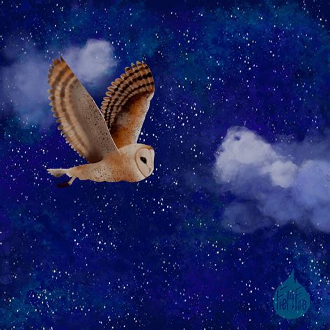 Flying Owl At Night