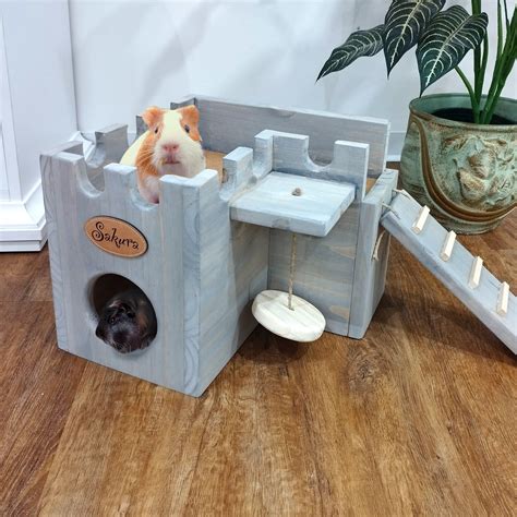 Diy Wooden Guinea Pig House Tranetbiologiaufrjbr