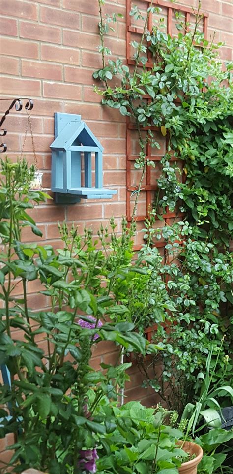 Robin house in my garden | Bird houses, Outdoor structures, Flower garden