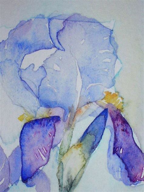 Sale Watercolour Painting Of Irises Original Art By Artist Amanda