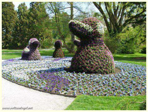 L île Mainau Explorez ses jardins et trésors naturels