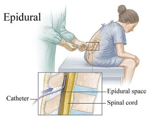 St Maarten Medical Center Patient Care Patient Information