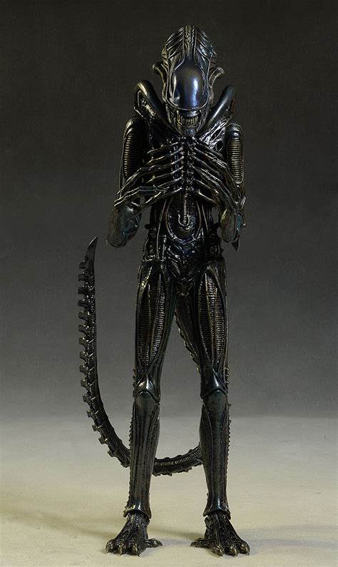 Aliens Xenomorph Warrior