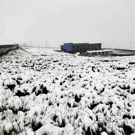 青海天峻县木里镇“三伏天”出现降雪 白雪覆盖草地 图片 中国天气网