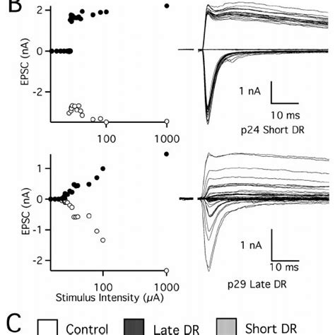 Sensitivity To Visual Deprivation Peaks After A Week Of Visual Download Scientific Diagram