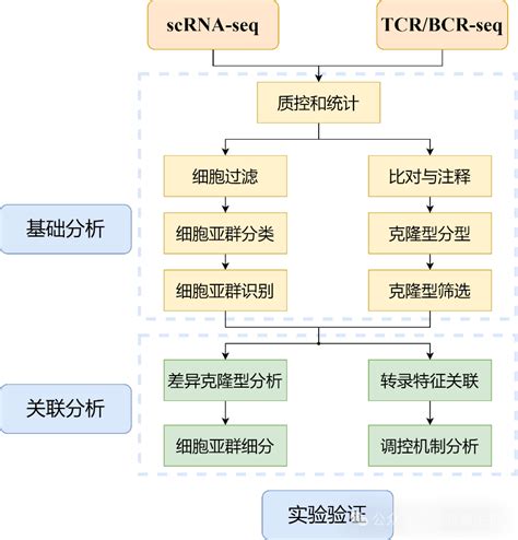 Tcr Bcr Scrna Seq