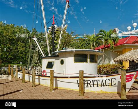 Roatan Honduras Gennaio Il Porto Di Roatan Uno Dei Due