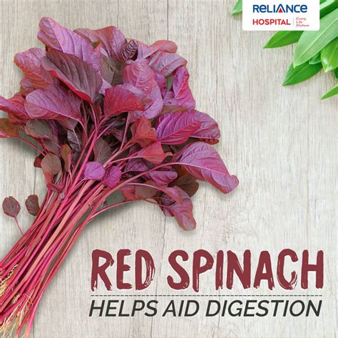 Benefits Of Red Spinach