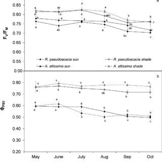 Trend Of A Maximum PSII Photochemical Efficiency F V F M B