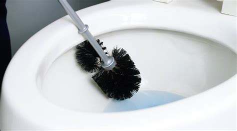 How To Store Toilet Brush Storables