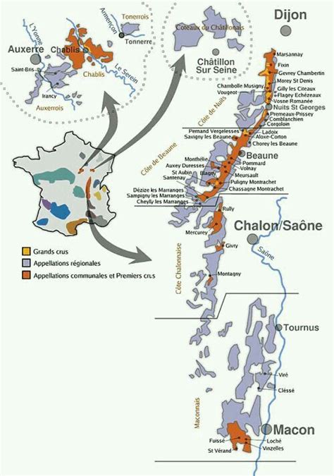 Bourgogne wine map. A nice starter map, raising as many questions as it ...