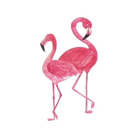 Premium Vector Tropical Watercolor Flamingo Beautiful Hand Drawn Illustrations